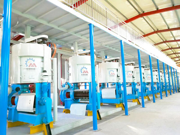 葵花籽榨油設(shè)備