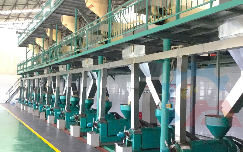 菜籽榨油生產線