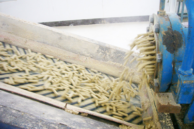 米糠膨化設(shè)備